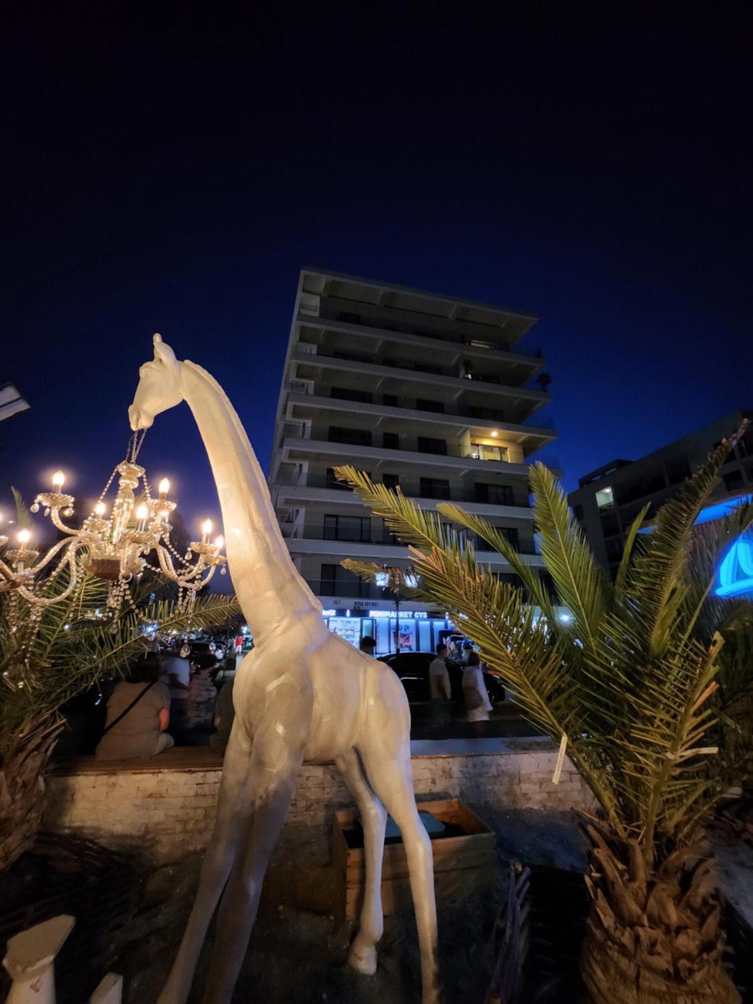 Seaside Amalia Apartament Năvodari Εξωτερικό φωτογραφία